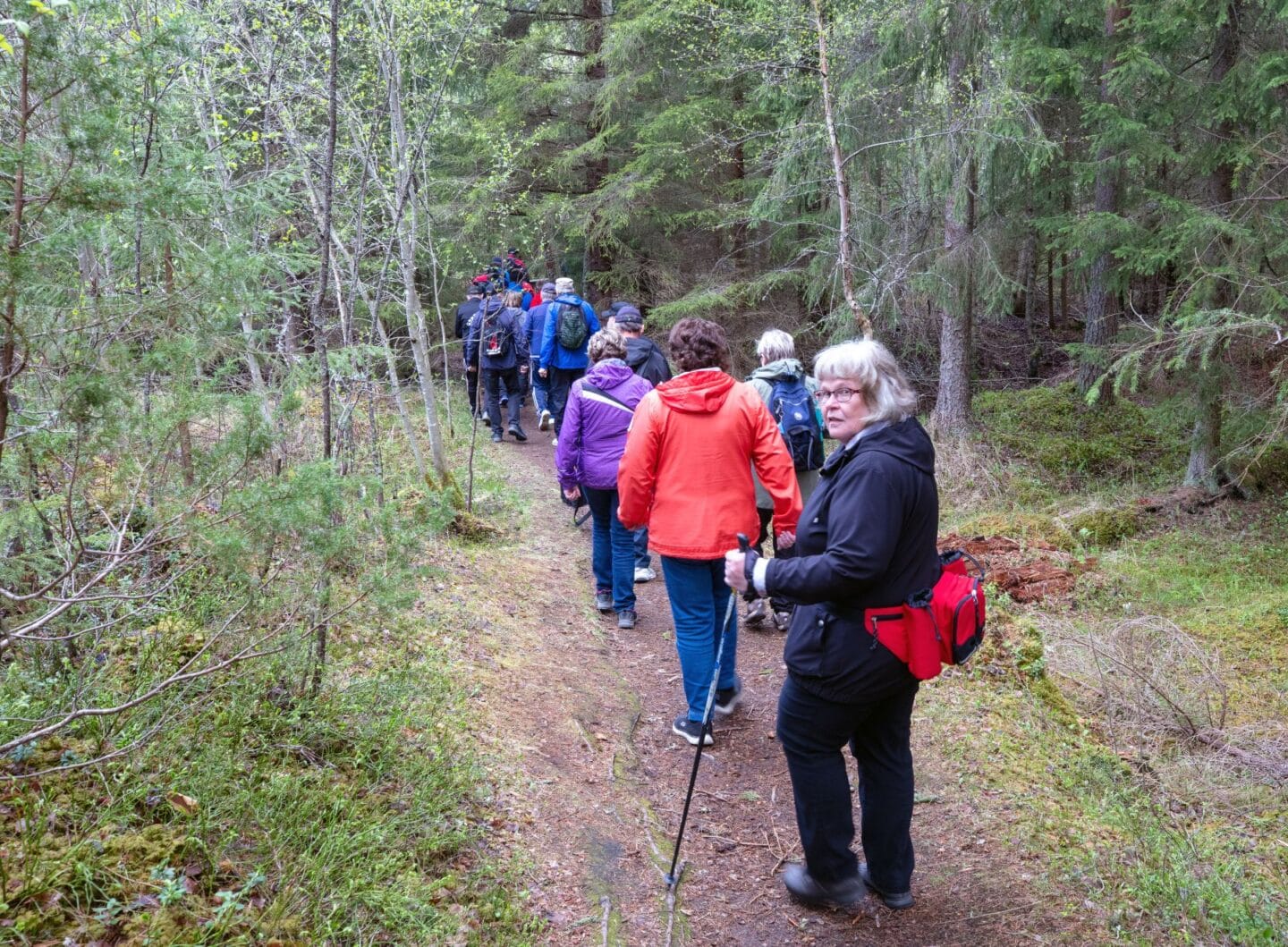 ryhmä vaeltaa metsä