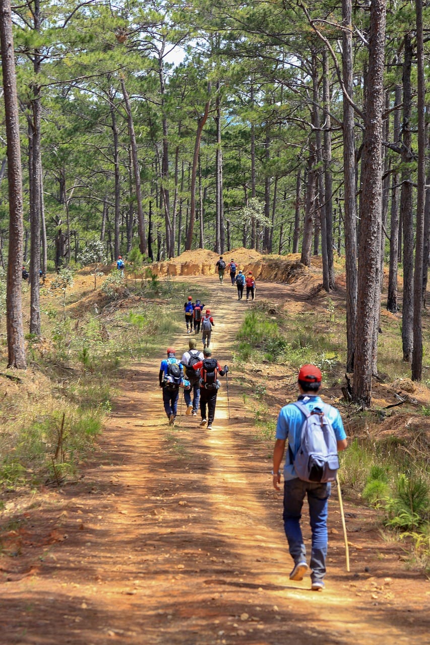 Vaeltaa ryhmässä metsäpolulla